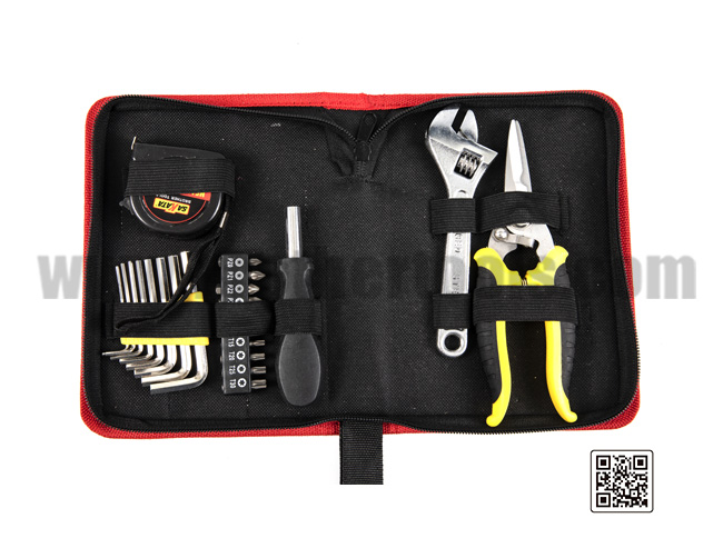 Starter hand tool kit combination